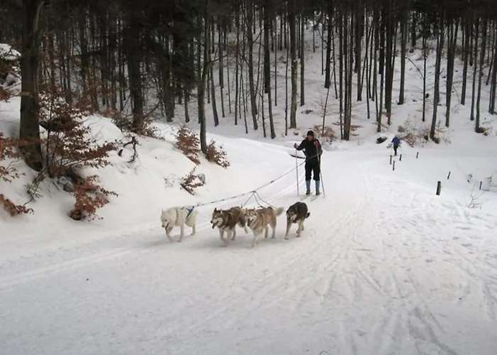 Gaeste Komfort Vakantiehuis